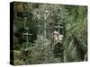 Aerial Tramway on Forest Canopy, Soberania Forest National Park, Gamboa, Panama, Central America-Sergio Pitamitz-Stretched Canvas