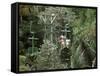 Aerial Tramway on Forest Canopy, Soberania Forest National Park, Gamboa, Panama, Central America-Sergio Pitamitz-Framed Stretched Canvas