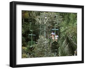 Aerial Tramway on Forest Canopy, Soberania Forest National Park, Gamboa, Panama, Central America-Sergio Pitamitz-Framed Photographic Print