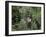 Aerial Tramway on Forest Canopy, Soberania Forest National Park, Gamboa, Panama, Central America-Sergio Pitamitz-Framed Photographic Print