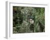 Aerial Tramway on Forest Canopy, Soberania Forest National Park, Gamboa, Panama, Central America-Sergio Pitamitz-Framed Photographic Print