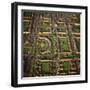 Aerial Veiw England Milton Keynes, Housing and Gardens-Adrian Warren-Framed Photographic Print