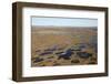 Aerial View across the Flow Country Showing Peatland Pool System, Forsinard, Caithness, Scotland-Peter Cairns-Framed Photographic Print