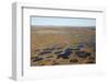 Aerial View across the Flow Country Showing Peatland Pool System, Forsinard, Caithness, Scotland-Peter Cairns-Framed Photographic Print