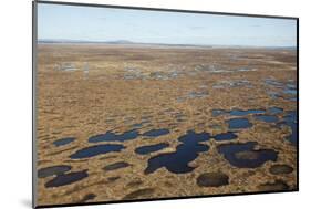 Aerial View across the Flow Country Showing Peatland Pool System, Forsinard, Caithness, Scotland-Peter Cairns-Mounted Photographic Print
