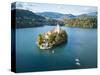Aerial view by drone of Bled Island with the Church of the Assumption at dawn, Slovenia-Ben Pipe-Stretched Canvas
