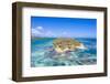 Aerial view by drone of coral reef in the turquoise water of Caribbean Sea, Antilles-Roberto Moiola-Framed Photographic Print