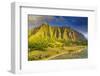 Aerial view by drone of Kaneohe Bay sea cliffs, Oahu Island, Hawaii, USA-Christian Kober-Framed Photographic Print