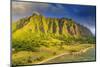 Aerial view by drone of Kaneohe Bay sea cliffs, Oahu Island, Hawaii, USA-Christian Kober-Mounted Photographic Print