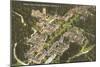 Aerial View, Duke University, Durham, North Carolina-null-Mounted Art Print