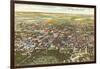 Aerial View, Fargo, North Dakota-null-Framed Art Print