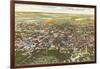 Aerial View, Fargo, North Dakota-null-Framed Art Print