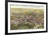 Aerial View, Fargo, North Dakota-null-Framed Premium Giclee Print