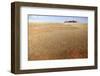 Aerial View from Hot Air Balloon over Magnificent Desert Landscape Covered in 'Fairy Circles'-Lee Frost-Framed Photographic Print