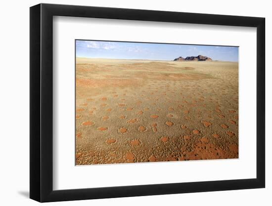 Aerial View from Hot Air Balloon over Magnificent Desert Landscape Covered in 'Fairy Circles'-Lee Frost-Framed Photographic Print