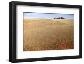 Aerial View from Hot Air Balloon over Magnificent Desert Landscape Covered in 'Fairy Circles'-Lee Frost-Framed Photographic Print