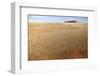 Aerial View from Hot Air Balloon over Magnificent Desert Landscape Covered in 'Fairy Circles'-Lee Frost-Framed Photographic Print