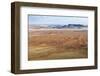 Aerial View from Hot Air Balloon over Magnificent Desert Landscape of Sand Dunes-Lee Frost-Framed Photographic Print