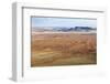 Aerial View from Hot Air Balloon over Magnificent Desert Landscape of Sand Dunes-Lee Frost-Framed Photographic Print