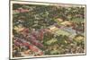 Aerial View, Georgia Tech, Atlanta, Georgia-null-Mounted Art Print