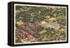 Aerial View, Georgia Tech, Atlanta, Georgia-null-Framed Stretched Canvas