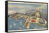 Aerial View, Great Lakes Exposition, Cleveland, Ohio-null-Framed Stretched Canvas