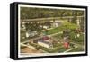 Aerial View, Greenfield Village, Dearborn, Michigan-null-Framed Stretched Canvas