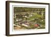 Aerial View, Greenfield Village, Dearborn, Michigan-null-Framed Art Print