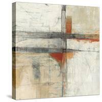 Aerial View II-Mike Schick-Stretched Canvas