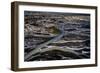 Aerial View in the Fall, Thjorsa River, Iceland-Ragnar Th Sigurdsson-Framed Photographic Print