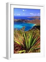 Aerial View, Magens Bay, St Thomas, USV-George Oze-Framed Photographic Print