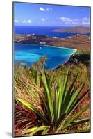 Aerial View, Magens Bay, St Thomas, USV-George Oze-Mounted Photographic Print