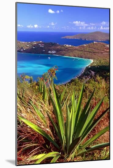 Aerial View, Magens Bay, St Thomas, USV-George Oze-Mounted Photographic Print