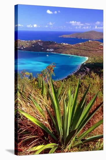 Aerial View, Magens Bay, St Thomas, USV-George Oze-Stretched Canvas
