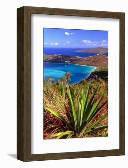 Aerial View, Magens Bay, St Thomas, USV-George Oze-Framed Photographic Print