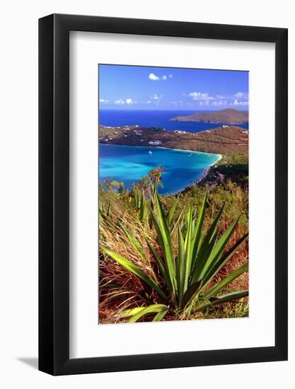 Aerial View, Magens Bay, St Thomas, USV-George Oze-Framed Photographic Print