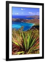 Aerial View, Magens Bay, St Thomas, USV-George Oze-Framed Photographic Print