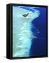 Aerial View, Maldives, Indian Ocean, Asia-Sakis Papadopoulos-Framed Stretched Canvas
