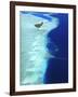 Aerial View, Maldives, Indian Ocean, Asia-Sakis Papadopoulos-Framed Photographic Print