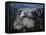 Aerial View, Mount Rushmore-null-Framed Stretched Canvas