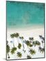 Aerial view of a beach in Maldives, Indian Ocean, Asia-Sakis Papadopoulos-Mounted Photographic Print