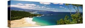 Aerial View of a Beach, North Shore, Waimea Bay, Oahu, Hawaii, USA-null-Stretched Canvas