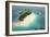 Aerial View of a Caribbean Desert Island in a Turquoise Water with a Woman Diving and a Yacht as a-Pablo Scapinachis-Framed Art Print