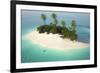 Aerial View of a Caribbean Desert Island in a Turquoise Water with a Woman Diving as a Concept for-Pablo Scapinachis-Framed Art Print