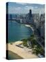Aerial View of a City, Lake Michigan, Chicago, Cook County, Illinois, USA 2010-null-Stretched Canvas