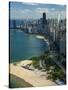 Aerial View of a City, Lake Michigan, Chicago, Cook County, Illinois, USA 2010-null-Stretched Canvas