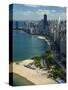 Aerial View of a City, Lake Michigan, Chicago, Cook County, Illinois, USA 2010-null-Stretched Canvas