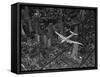 Aerial View of a DC-4 Passenger Plane Flying over Midtown Manhattan-Margaret Bourke-White-Framed Stretched Canvas