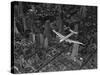 Aerial View of a DC-4 Passenger Plane Flying over Midtown Manhattan-Margaret Bourke-White-Stretched Canvas