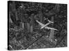 Aerial View of a DC-4 Passenger Plane Flying over Midtown Manhattan-Margaret Bourke-White-Stretched Canvas